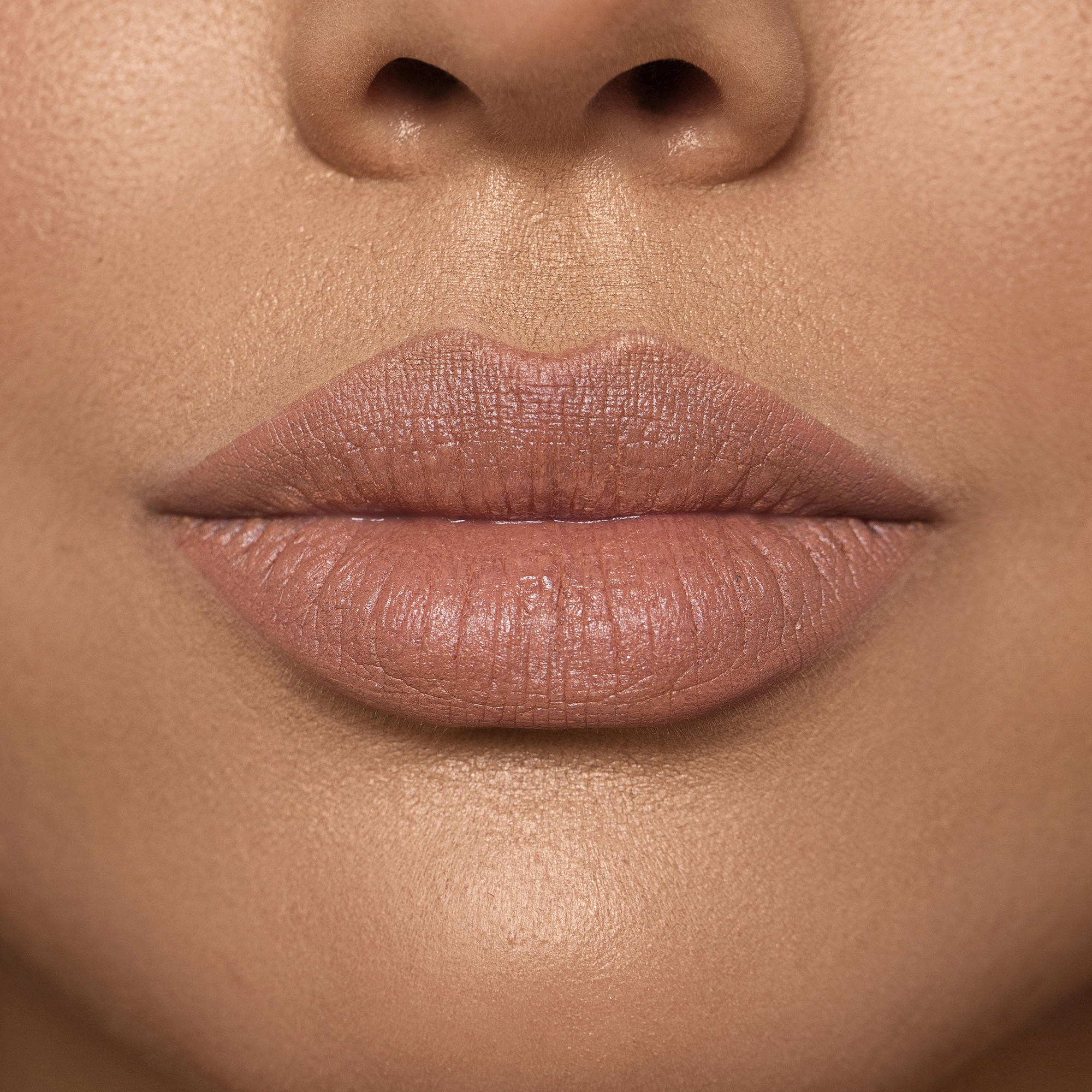 MONOCHROME MOMENT LIP CRAYON (L&Aacute;PIZ LABIAL)